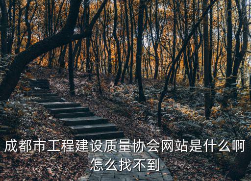 成都市工程建設(shè)質(zhì)量協(xié)會(huì)網(wǎng)站是什么啊怎么找不到