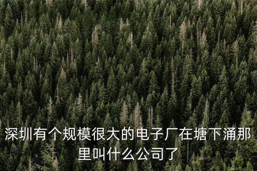 深圳華風(fēng)電子有限公司，深圳寶安45區(qū)華豐新安商務(wù)大廈503室的公司叫什么名字