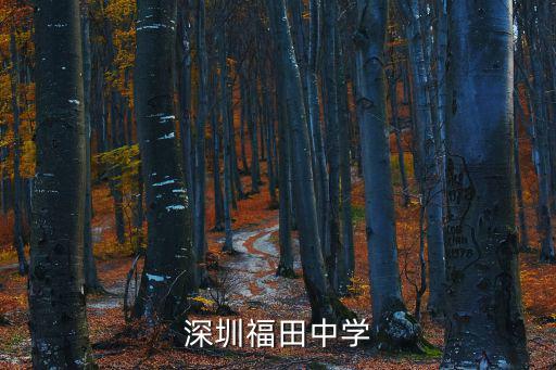 深圳福田中學(xué)，深圳市福田中學(xué)