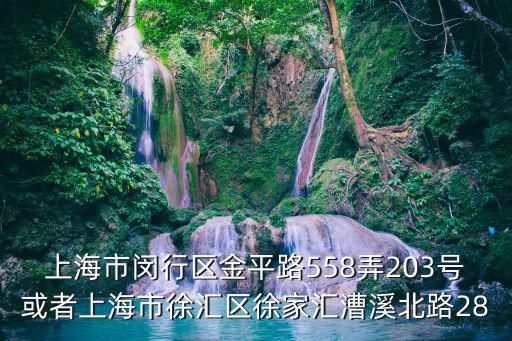 上海市閔行區(qū)金平路558弄203號或者上海市徐匯區(qū)徐家匯漕溪北路28