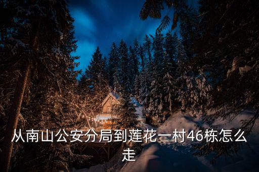 從南山公安分局到蓮花一村46棟怎么走