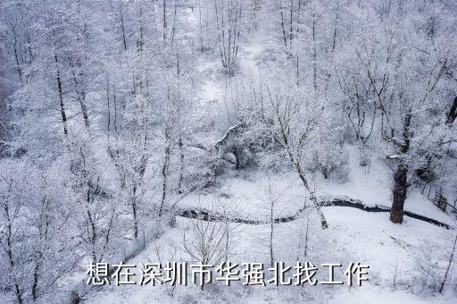 想在深圳市華強(qiáng)北找工作