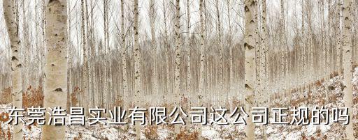 東莞浩昌實業有限公司這公司正規的嗎