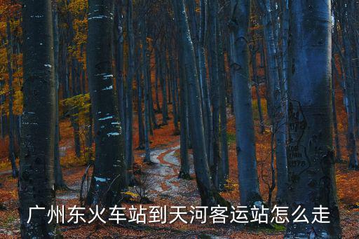 廣州東火車站到天河客運站怎么走