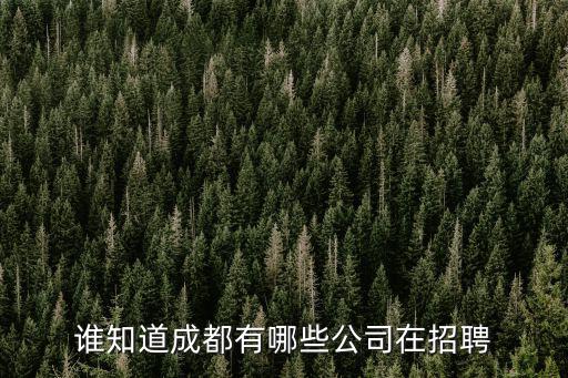 誰知道成都有哪些公司在招聘