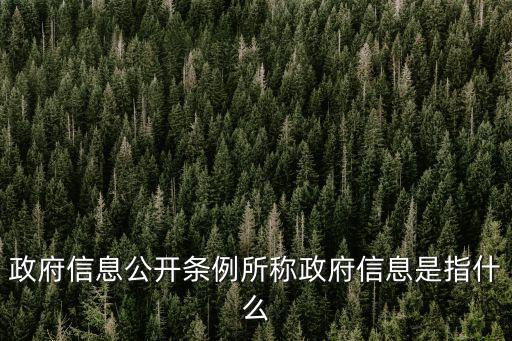 上海市政府信息公開規定，以法規的形式把政府信息公開的范圍和主體方式和程序監督和保障