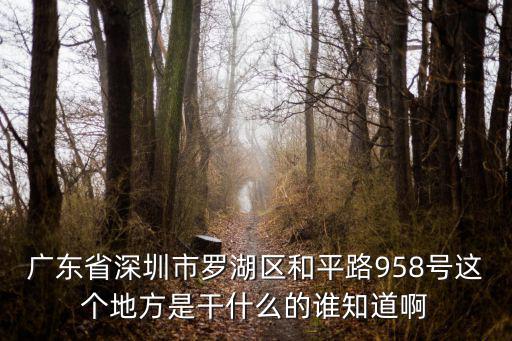 廣東省深圳市羅湖區(qū)和平路958號(hào)這個(gè)地方是干什么的誰(shuí)知道啊