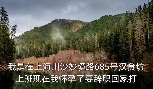 我是在上海川沙妙境路685號漢食坊上班現(xiàn)在我懷孕了要辭職回家打