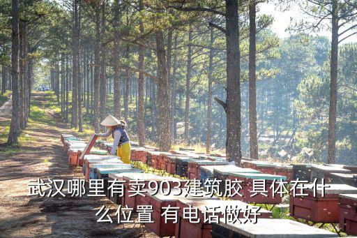 武漢哪里有賣903建筑膠 具體在什么位置 有電話做好