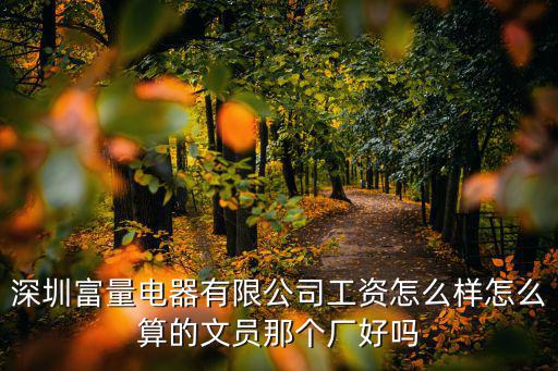深圳富量電器有限公司工資怎么樣怎么算的文員那個廠好嗎