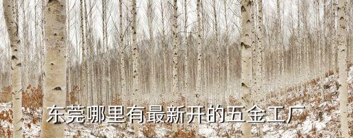 東莞哪里有最新開的五金工廠