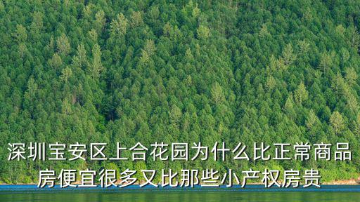 深圳富金苑小區，深圳寶安區上合花園為什么比正常商品房便宜很多又比那些小產權房貴