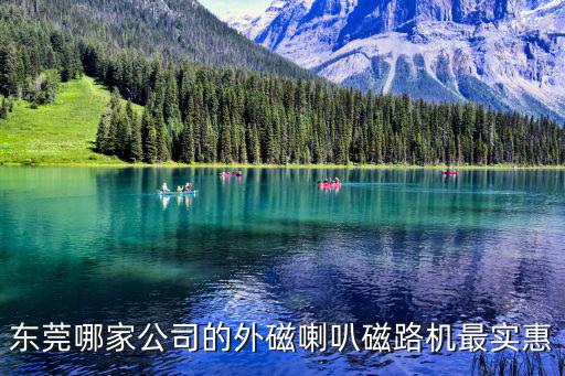 東莞哪家公司的外磁喇叭磁路機(jī)最實(shí)惠
