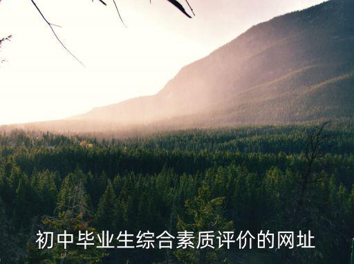 初中畢業(yè)生綜合素質(zhì)評(píng)價(jià)的網(wǎng)址