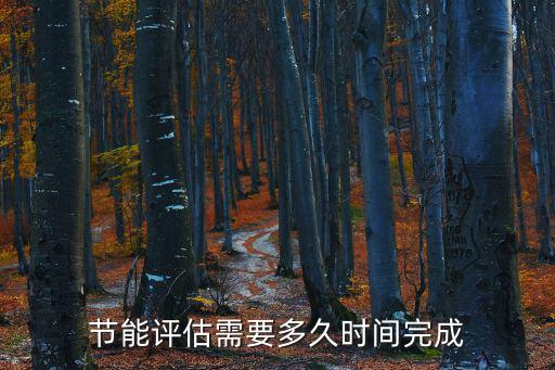 節能評估需要多久時間完成