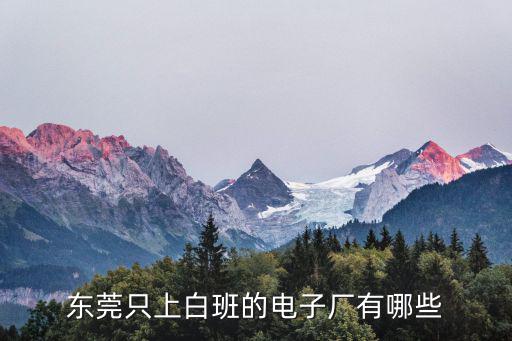東莞只上白班的電子廠有哪些