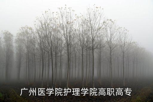 廣州醫(yī)學(xué)院護(hù)理學(xué)院高職高專