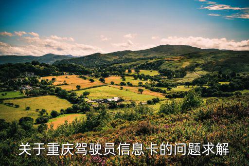 關于重慶駕駛員信息卡的問題求解