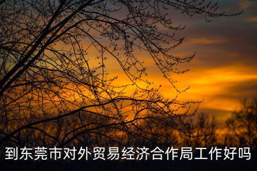 到東莞市對外貿易經濟合作局工作好嗎
