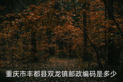 重慶市豐都縣雙龍鎮(zhèn)郵政編碼是多少