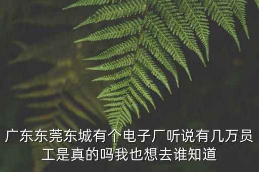 信佳電子東莞，東莞只上白班的電子廠有哪些