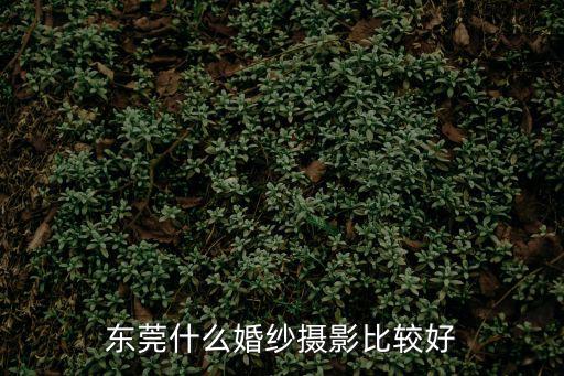東莞好萊塢婚紗攝影，東莞好萊塢婚紗攝影好嗎拍攝效果怎樣