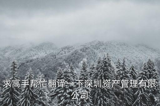 求高手幫忙翻譯一下深圳資產(chǎn)管理有限公司