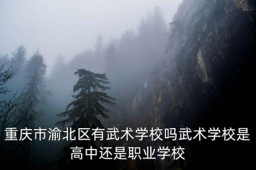 重慶市渝北區(qū)有武術(shù)學校嗎武術(shù)學校是高中還是職業(yè)學校