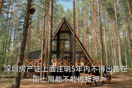 深圳房產(chǎn)證上面注明5年內(nèi)不得出售在國土局能不能做抵押
