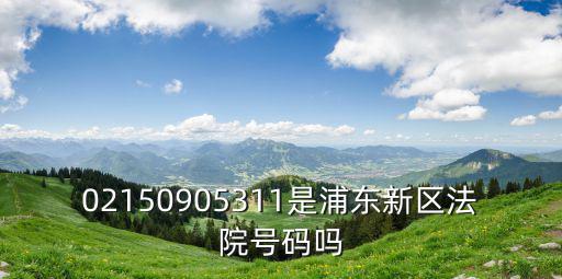 02150905311是浦東新區(qū)法院號碼嗎