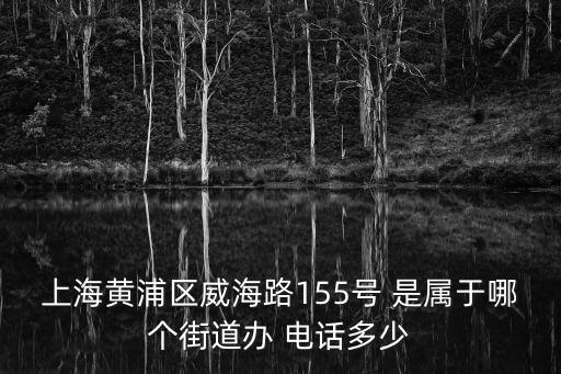 上海市黃浦區威海路155，上海黃浦區威海路155弄20號離地鐵站口有多遠