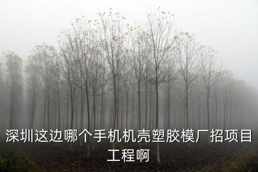 深圳市安興華塑膠制品有限公司，請(qǐng)問(wèn)在深圳龍崗坪地這邊有哪些塑膠廠有的話請(qǐng)把地址或者電話發(fā)
