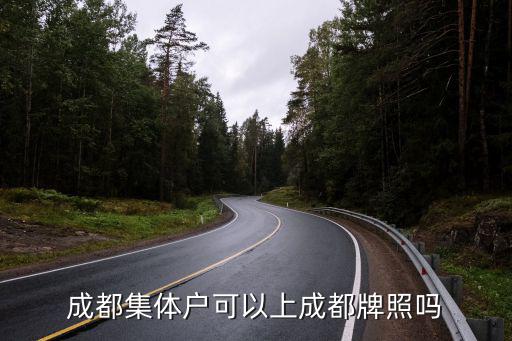 成都集體戶可以上成都牌照嗎