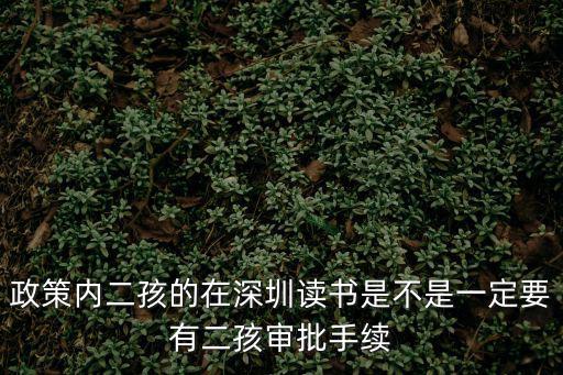 政策內二孩的在深圳讀書是不是一定要有二孩審批手續
