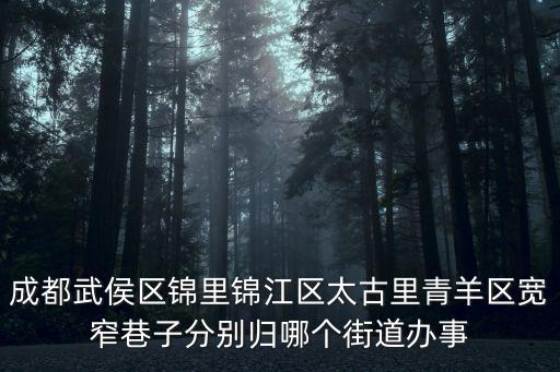 成都武侯區錦里錦江區太古里青羊區寬窄巷子分別歸哪個街道辦事