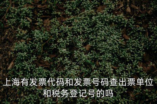上海市發(fā)票信息查詢系統(tǒng)，上海市工商業(yè)限額統(tǒng)一發(fā)票