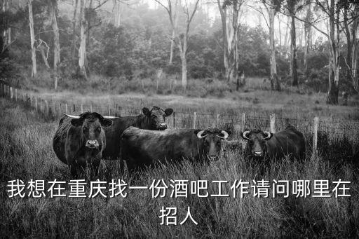 我想在重慶找一份酒吧工作請問哪里在招人