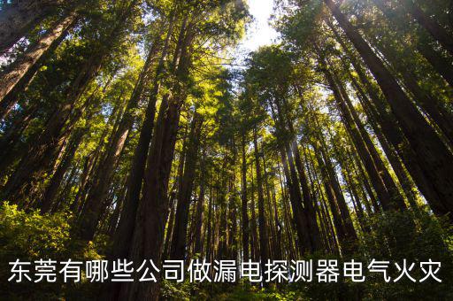 東莞有哪些公司做漏電探測(cè)器電氣火災(zāi)