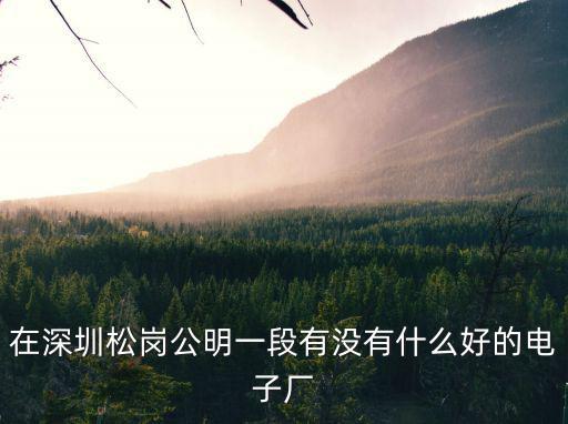 在深圳松崗公明一段有沒有什么好的電子廠