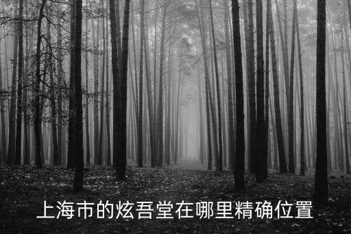 上海市的炫吾堂在哪里精確位置