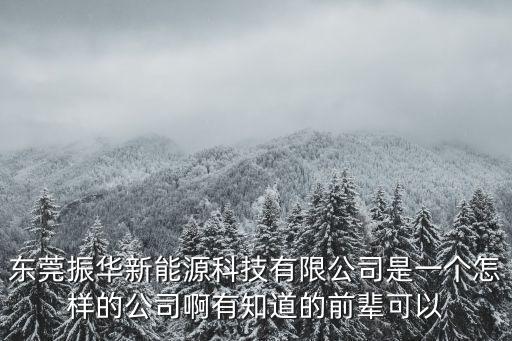 東莞振華新能源科技有限公司是一個怎樣的公司啊有知道的前輩可以