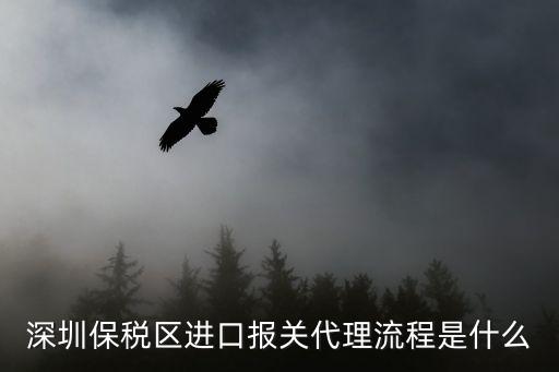 深圳保稅區進口報關代理流程是什么