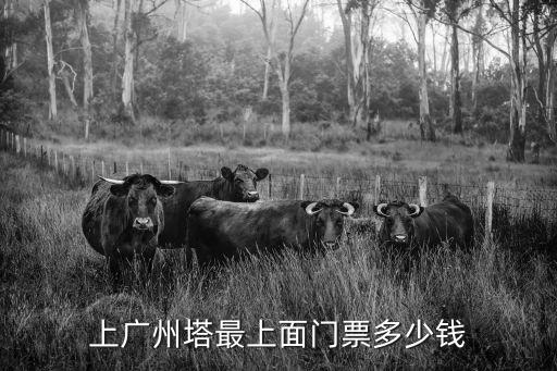 廣州塔要錢嗎，上廣州塔最頂層要多少錢