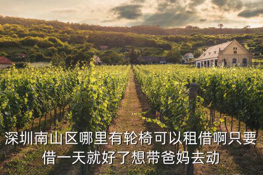 深圳南山區(qū)哪里有輪椅可以租借啊只要借一天就好了想帶爸媽去動(dòng)