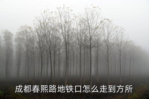 成都市中紗帽jie，成都哪有地方好耍離市中心近消費不貴的地方