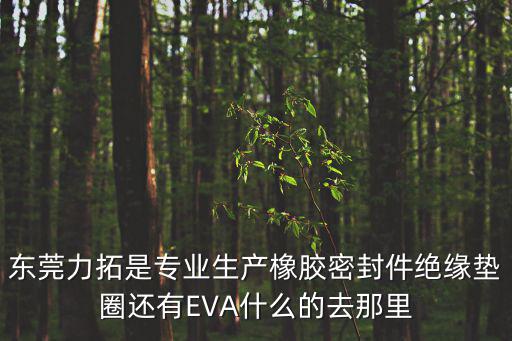 東莞力拓是專業(yè)生產(chǎn)橡膠密封件絕緣墊圈還有EVA什么的去那里