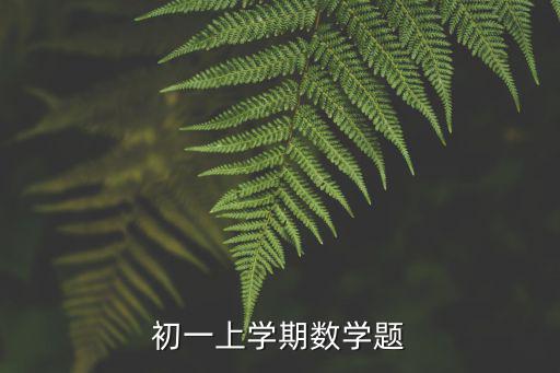 初一上學期數學題