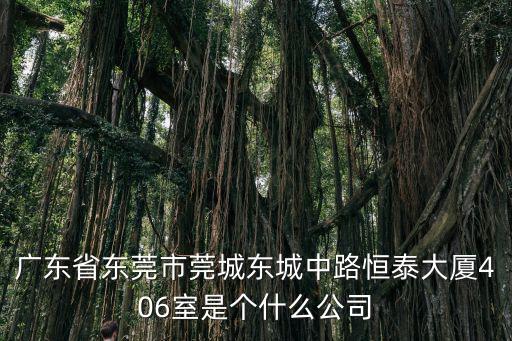 廣東省東莞市莞城東城中路恒泰大廈406室是個什么公司