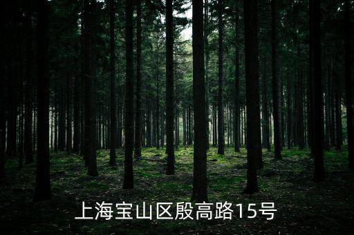 上海寶山區(qū)殷高路15號(hào)