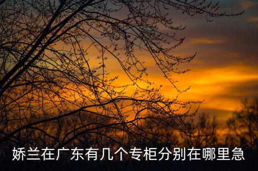 嬌蘭在廣東有幾個專柜分別在哪里急